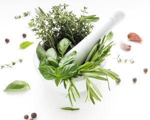 Vegetal